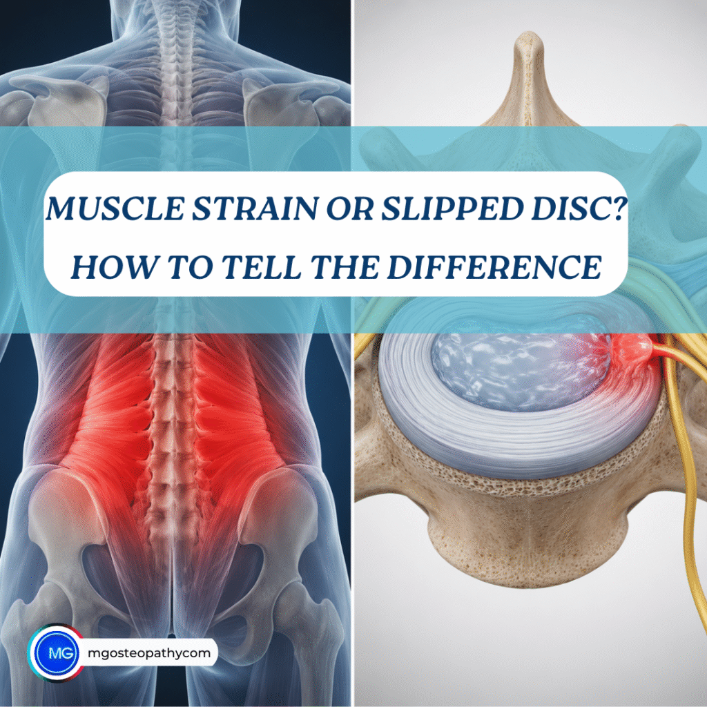 Collage of spine, hip joint, and a spinal disc with a blue translucent banner reading 'Muscle strain or slipped disc? How to tell the difference'.