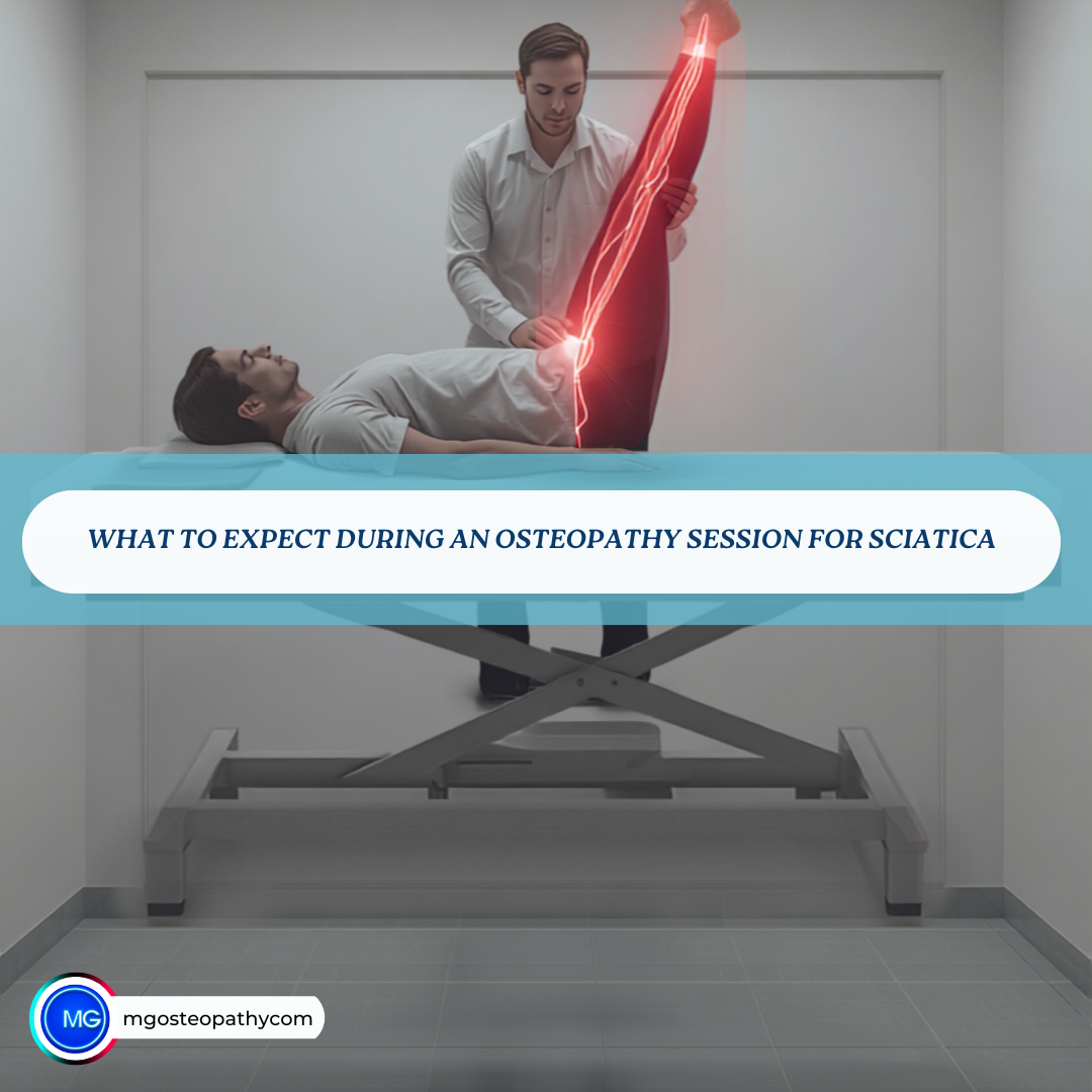 What to Expect During an Osteopathy Session for Sciatica | MG Osteopathy & Sports Injury Clinic, Hackney, London | MG Osteopathy & Sports Injury Clinic, Hackney, London Therapist lifts patient’s leg on a treatment table with a red highlight along the leg to illustrate the sciatic nerve during osteopathy for sciatica.